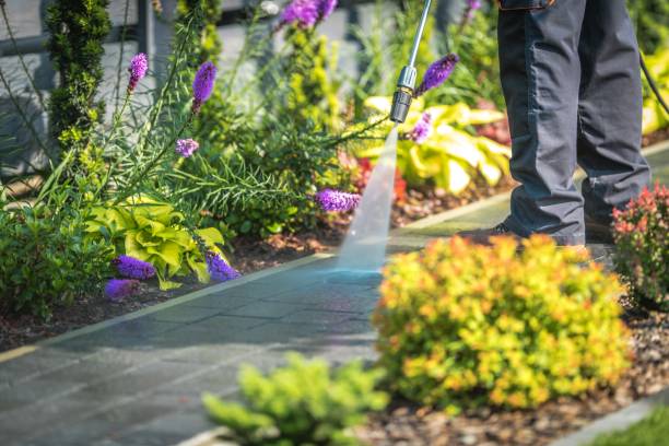 Best Deck and Patio Pressure Washing in Nes, IL