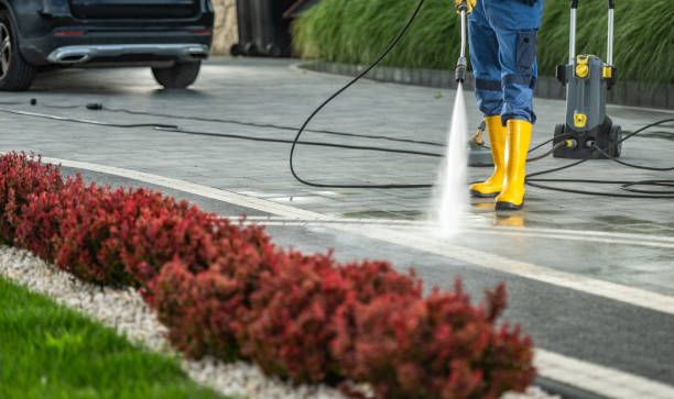 Best Roof Cleaning and Mildew Removal in Nes, IL