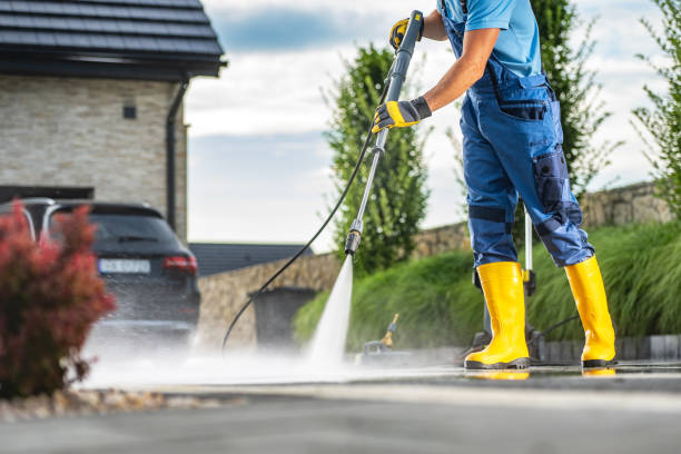Best Driveway Cleaning and Restoration in Nes, IL